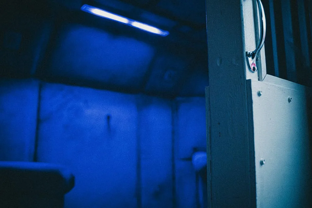 Tube lighting above the padded walls of the Asylum cell